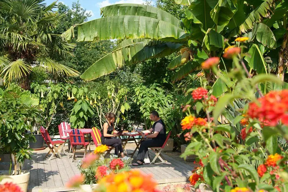 bar restaurant