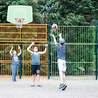 basket