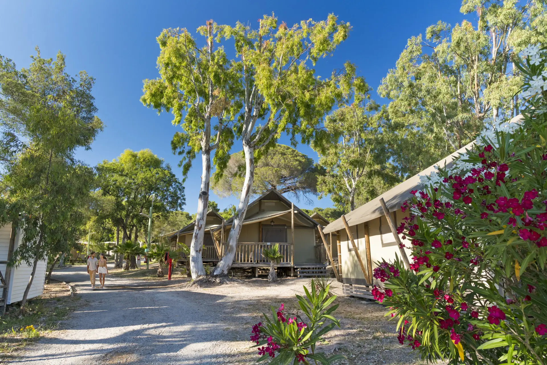 Camping Santa Lucia - Saint Raphaël - Andre TRIGANO - Juin 2024 - Photo : Henri Comte